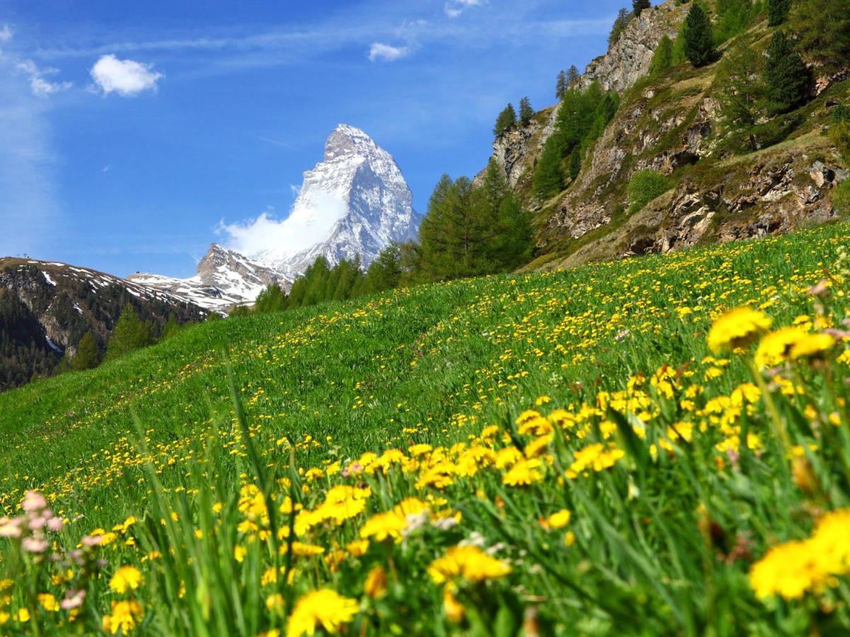 Apartment Imperial-10 By Interhome Zermatt Buitenkant foto